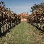 Bed & Breakfast Venissa Wine