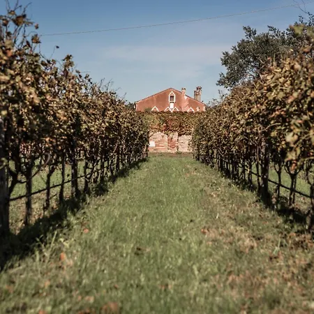 Bed & Breakfast Venissa Wine