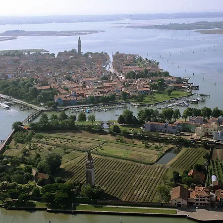 Venissa Wine