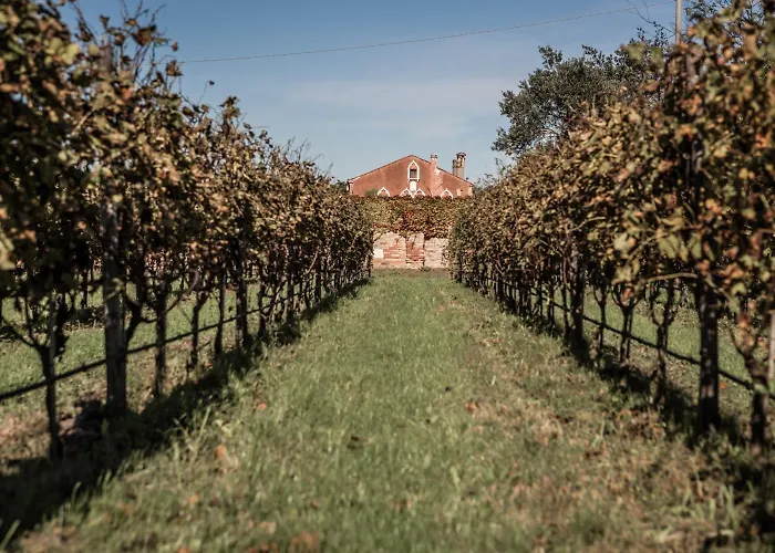 Bed & Breakfast Venissa Wine