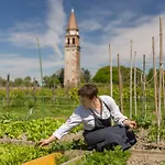 Venissa Wine 4* Burano