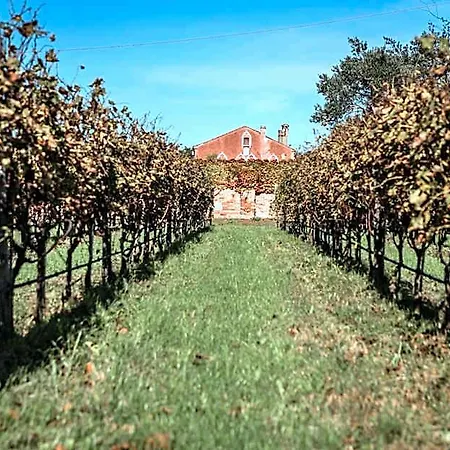Venissa Wine فندق مبيت وإفطار