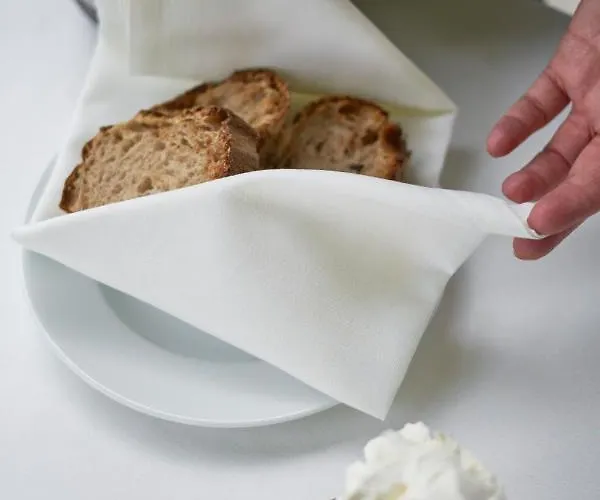 Bed and Breakfast Venissa Wine